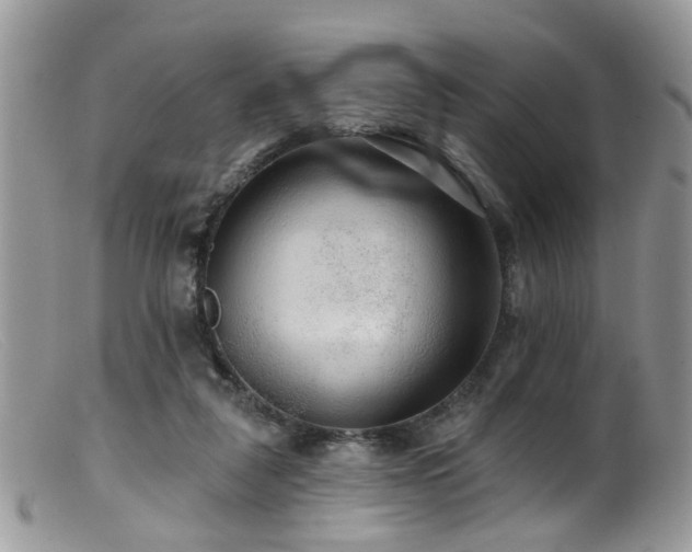 X0000099500259200805151438