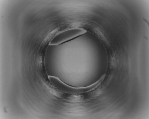 X0000099500260200805151438