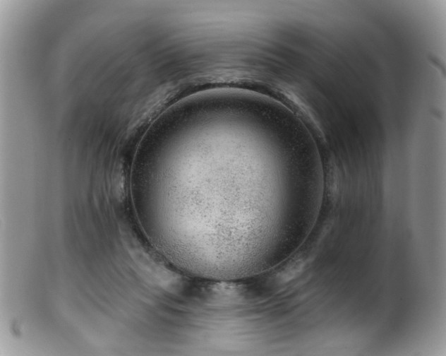 X0000099500261200805151438