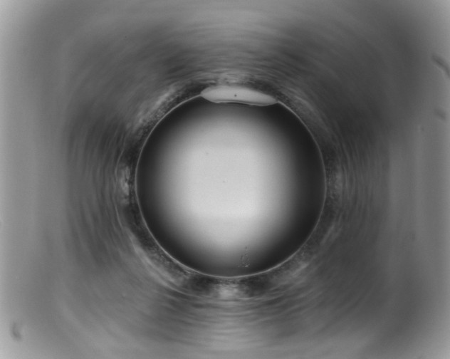 X0000099500264200805151438