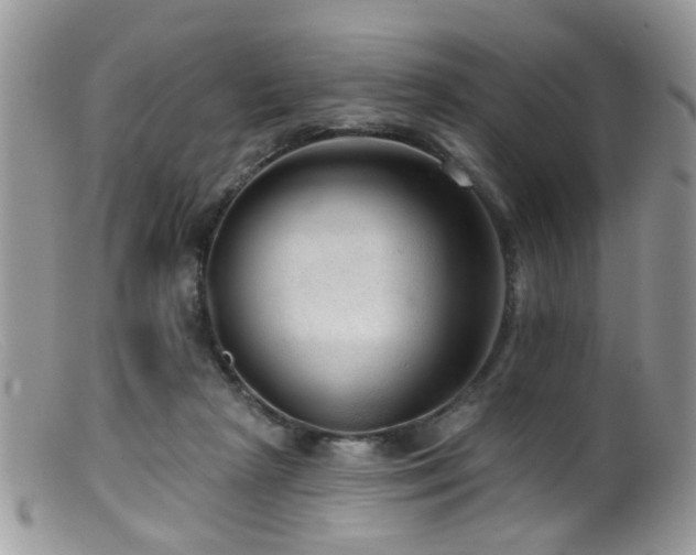 X0000099500265200805151438