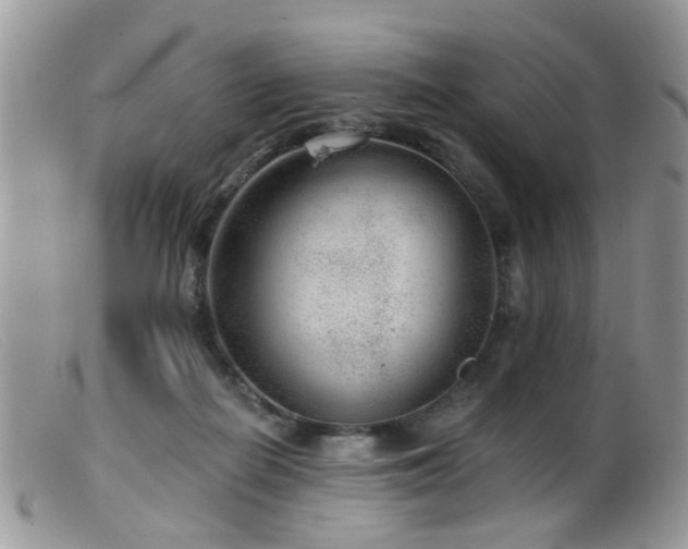 X0000099500266200805151438