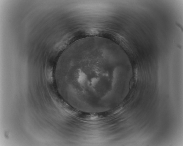 X0000099500267200805151438