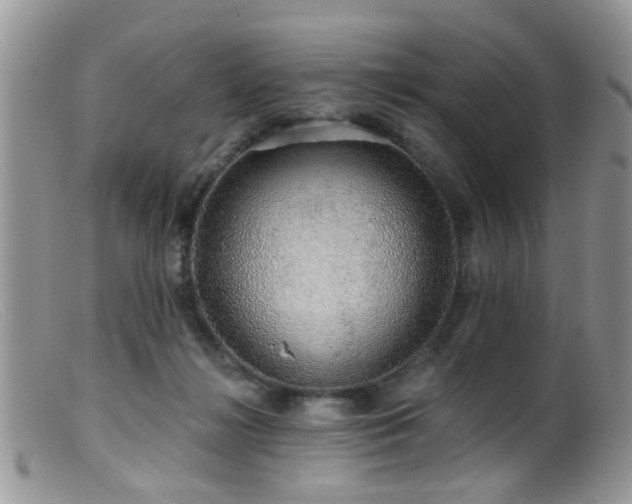 X0000099500268200805151438