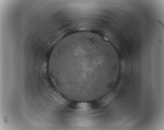 X0000099500269200805151438