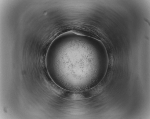 X0000099500270200805151438