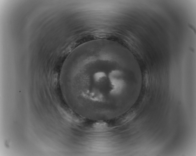 X0000099500271200805151438
