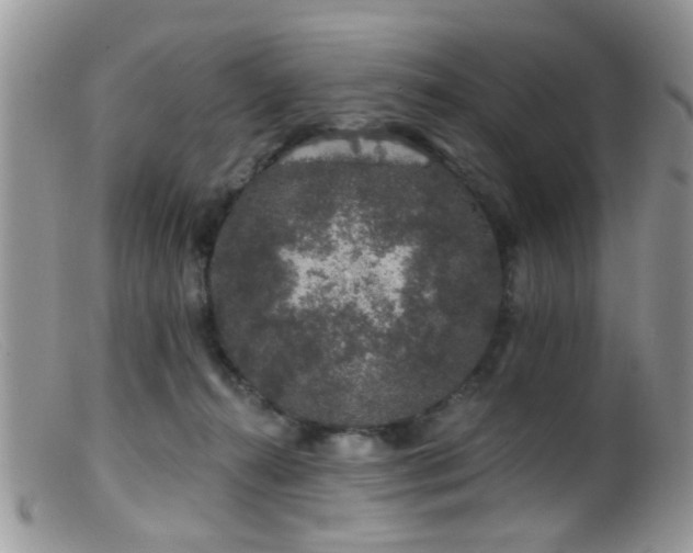 X0000099500272200805151438