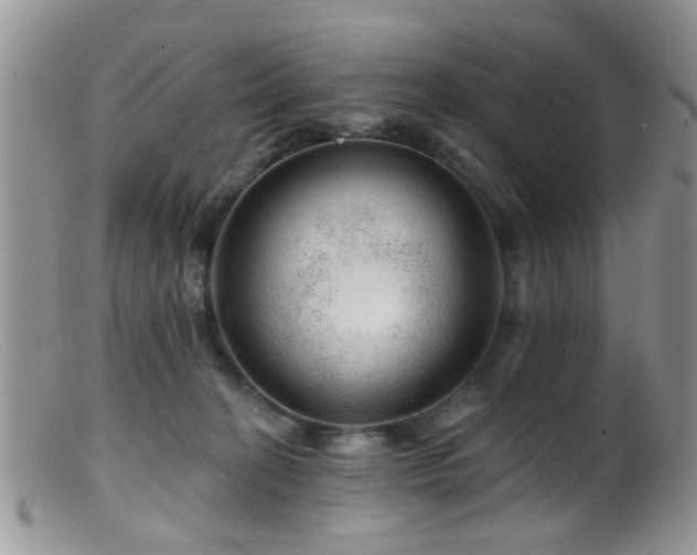 X0000099500274200805151438