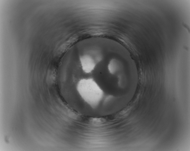 X0000099500277200805151438