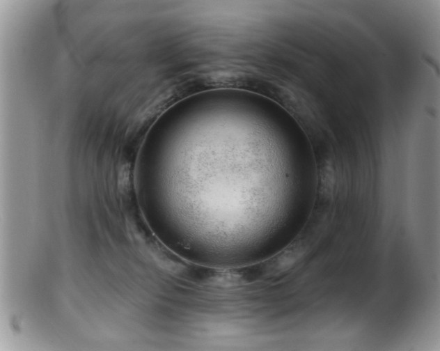 X0000099500278200805151438