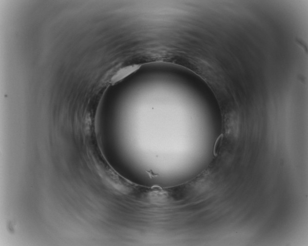 X0000099500279200805151438