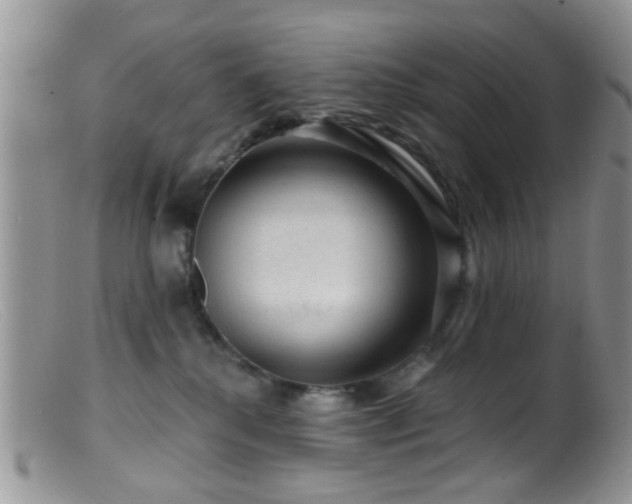 X0000099500280200805151438