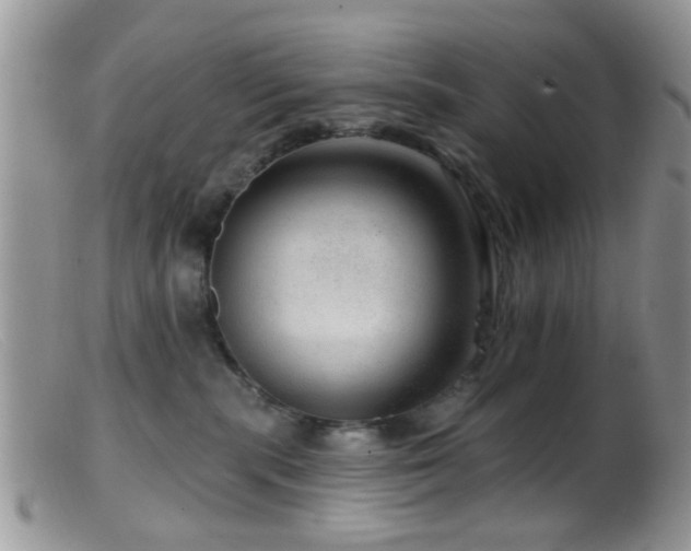 X0000099500283200805151438