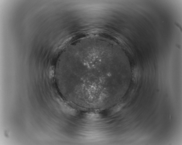 X0000099500284200805151438
