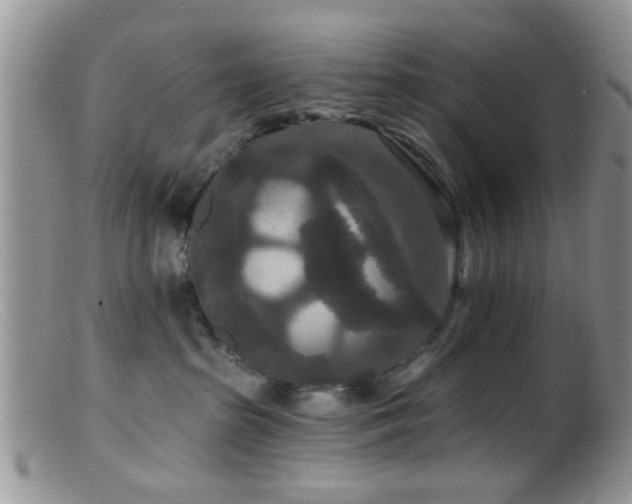 X0000099500285200805151438