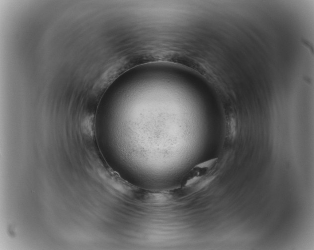 X0000099500286200805151438