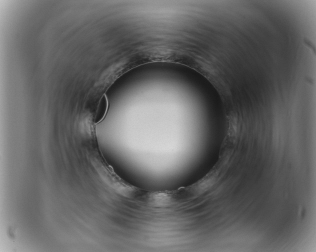 X0000099500287200805151438