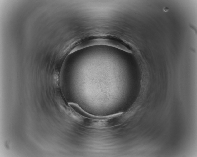 X0000099500288200805151438