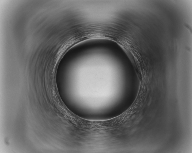 X0000099500289200805151438