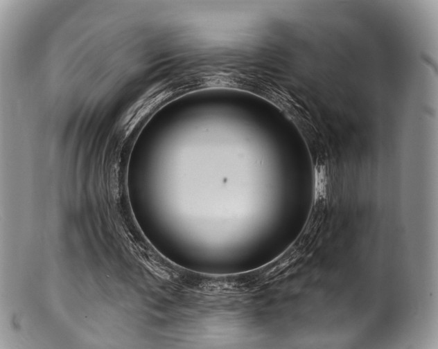 X0000099500291200805151438
