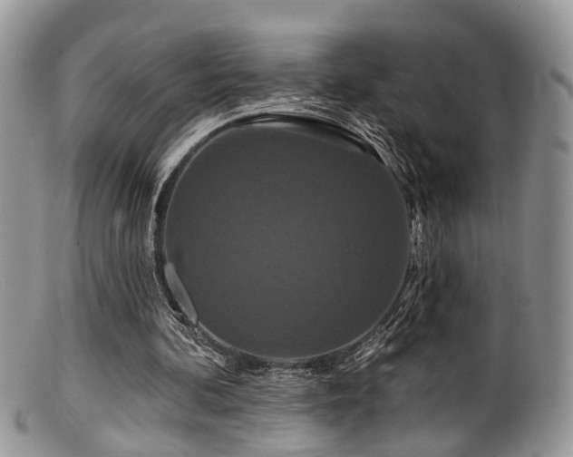X0000099500292200805151438