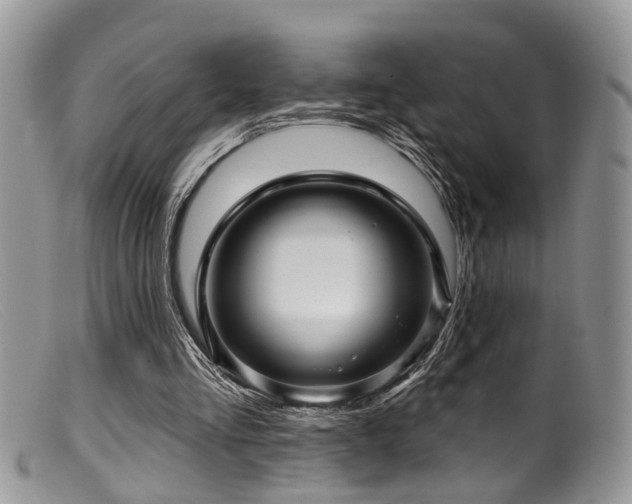 X0000099500293200805151438