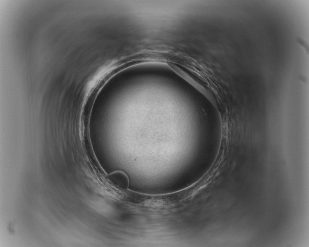 X0000099500294200805151438
