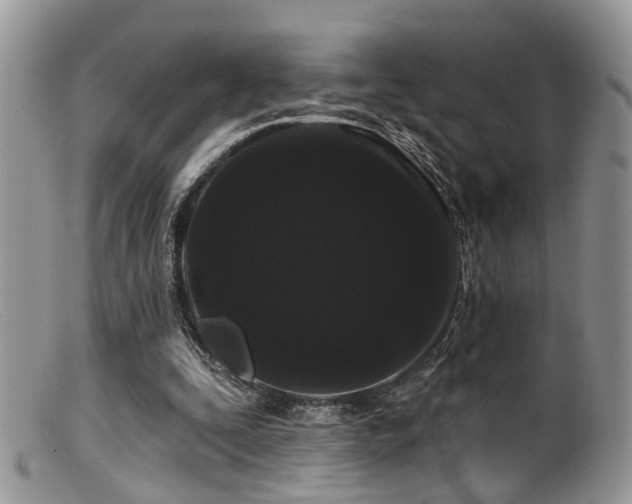 X0000099500295200805151438