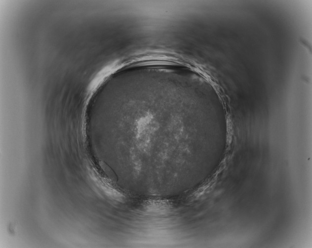 X0000099500296200805151438