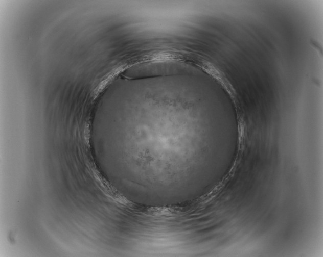 X0000099500297200805151438