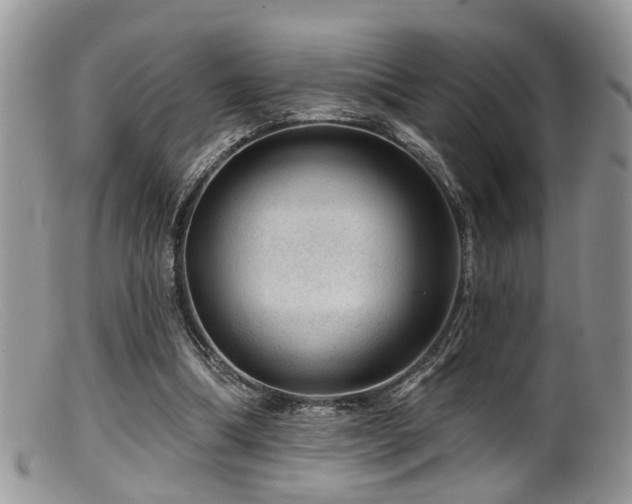X0000099500298200805151438