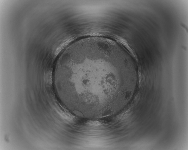 X0000099500299200805151438
