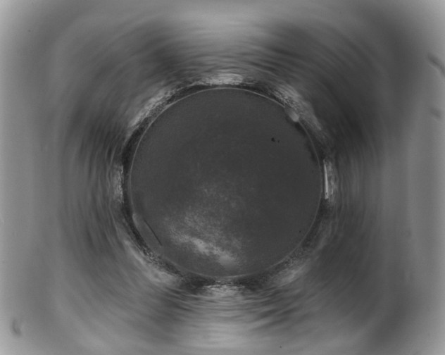 X0000099500300200805151438
