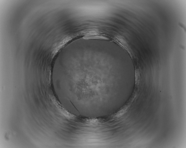 X0000099500301200805151438