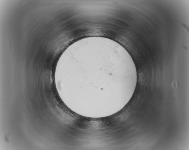 X0000099500302200805151438