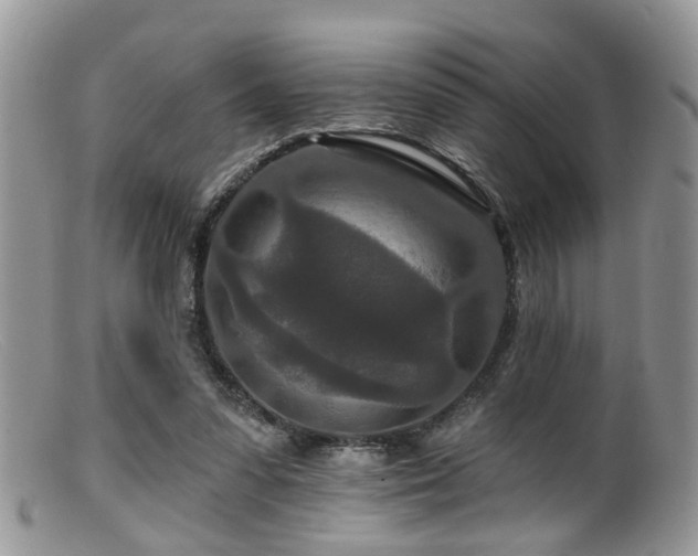 X0000099500303200805151438