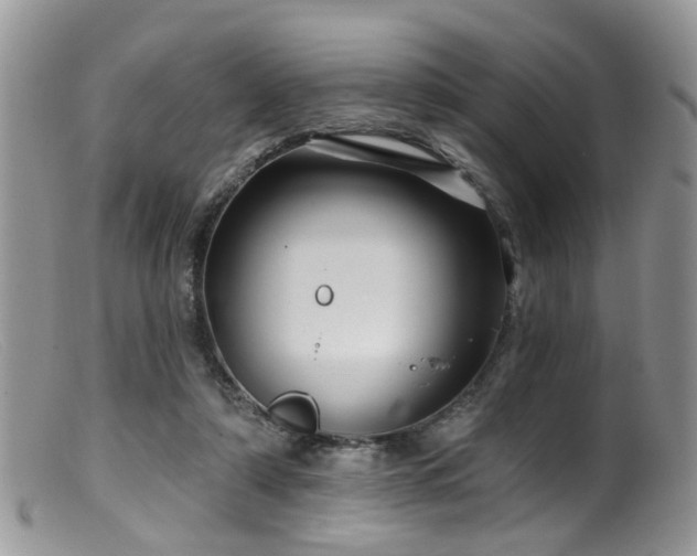 X0000099500306200805151437