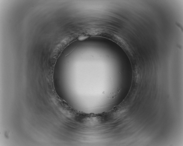 X0000099500307200805151437