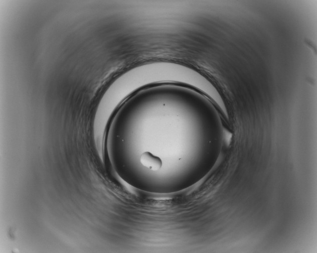 X0000099500308200805151437