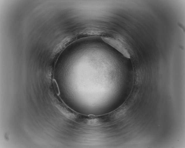 X0000099500309200805151437