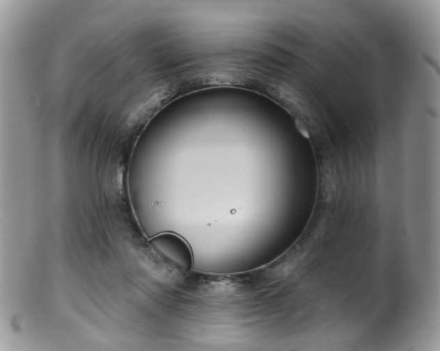 X0000099500310200805151437