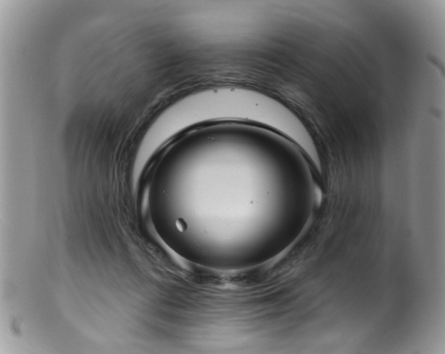 X0000099500312200805151437