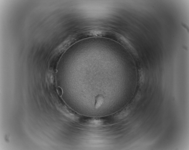 X0000099500313200805151437