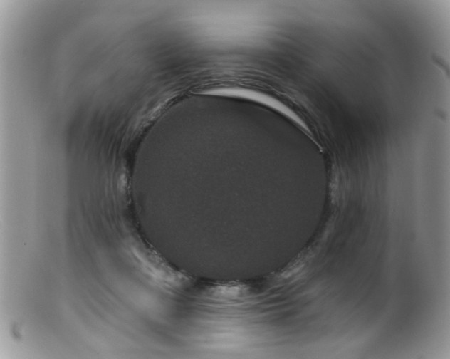 X0000099500314200805151437