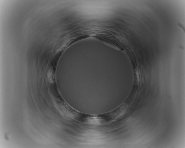 X0000099500316200805151437
