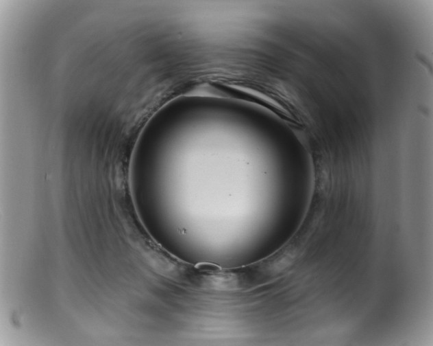 X0000099500317200805151437