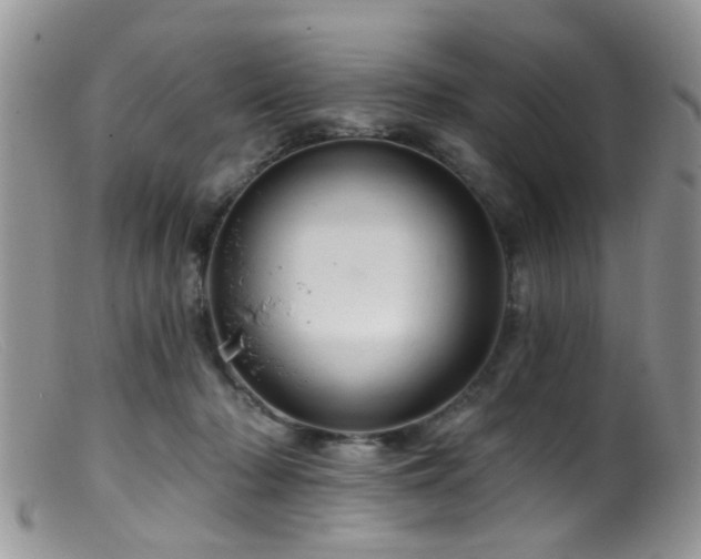 X0000099500318200805151437