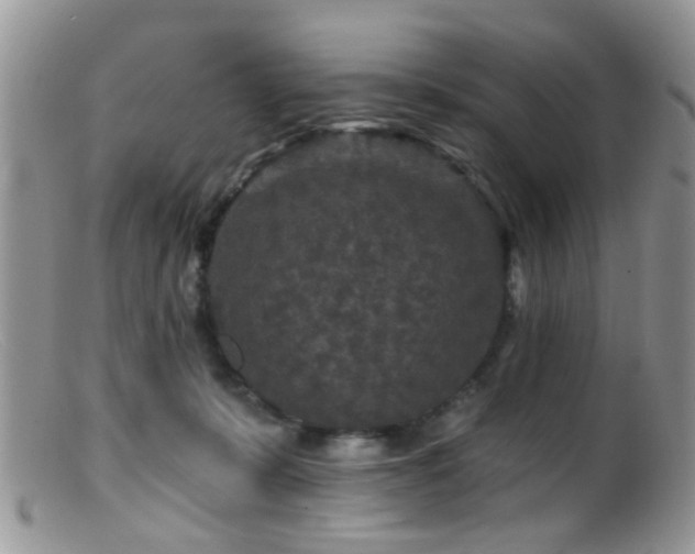 X0000099500319200805151437