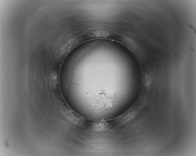 X0000099500321200805151437